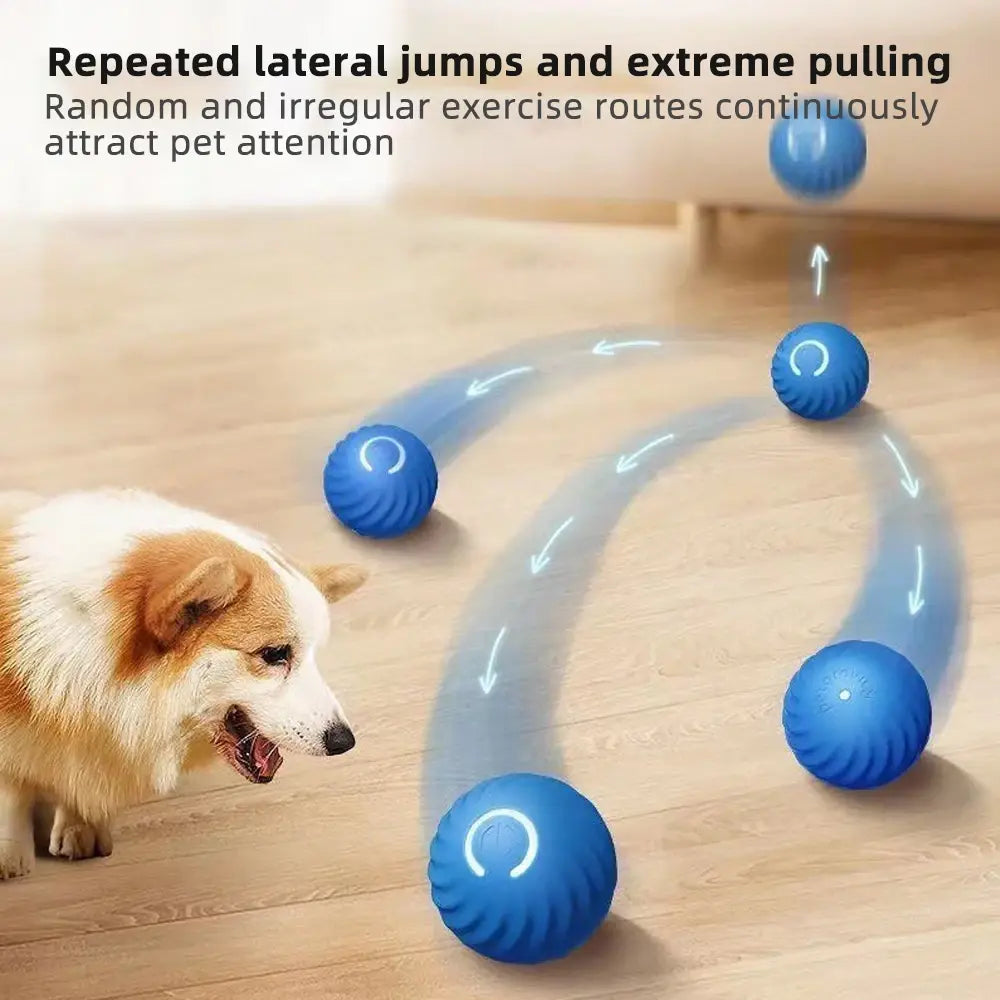 Interactive Moving Dog Toy Ball