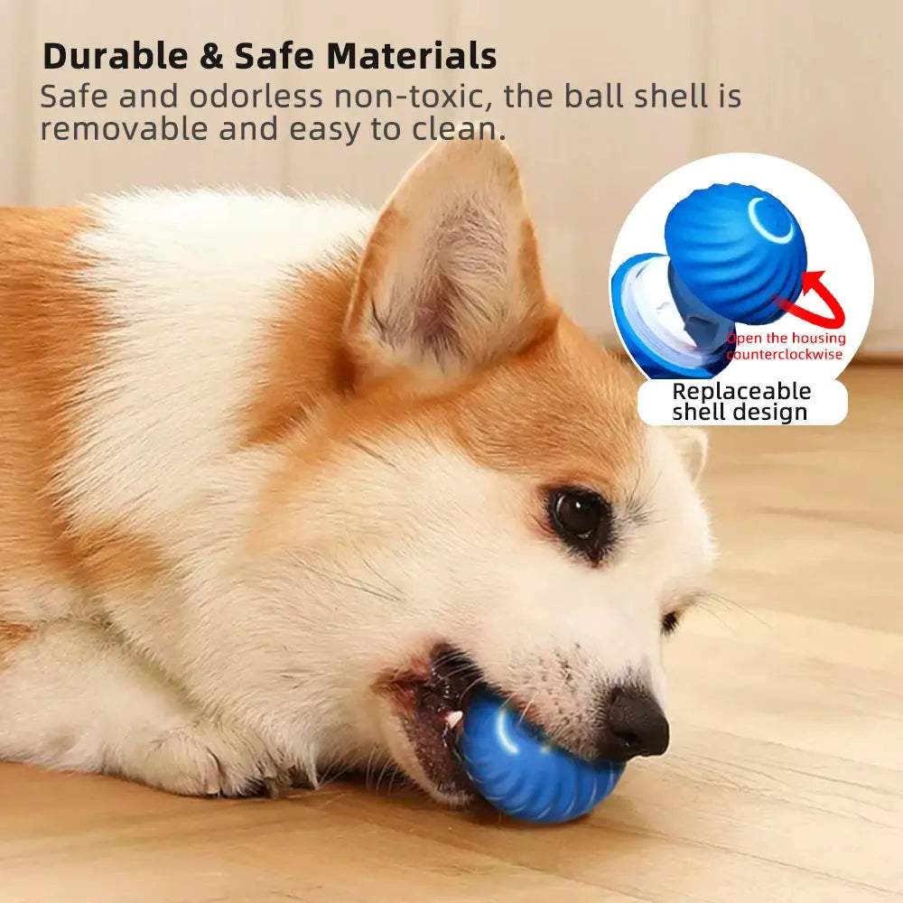 Interactive Moving Dog Toy Ball